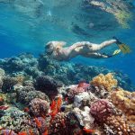 Snorkling red sea